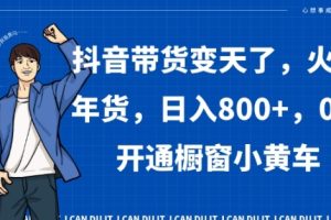 抖音带货变天了，火爆年货，日入800+，0粉开通橱窗小黄车【揭秘】