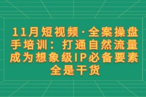 11月短视频·全案操盘手培训：打通自然流量 成为想象级IP必备要素 全是干货