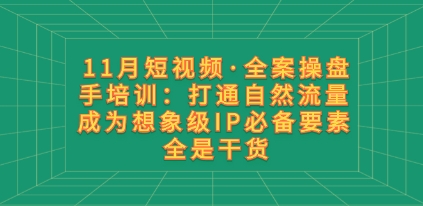 11月短视频·全案操盘手培训：打通自然流量 成为想象级IP必备要素 全是干货插图