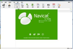 Navicat for MySQL V11.0.19 x64 中文版+注册机