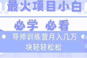 导师训练营互联网最牛逼的项目没有之一，新手小白必学，月入2万+轻轻松松