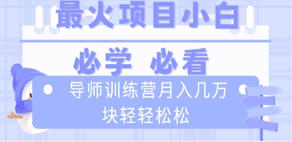 导师训练营互联网最牛逼的项目没有之一，新手小白必学，月入2万+轻轻松松插图