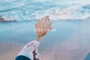 HTML5 SVG透明毛玻璃特效