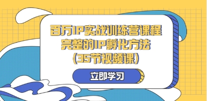 百万IP实战训练营课程，完整的IP孵化方法（35节视频课）插图