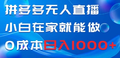 拼多多无人直播，小白在家就能做，0成本日入1000+插图