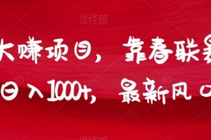 年前大赚项目，靠春联暴力出单，日入1000+，最新风口赛道【揭秘】