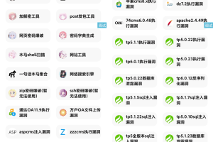 【IAPP源码】功能挺多的网站荧惑渗透源码