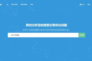 深度SEO分析工具源码Turbo Website Reviewer