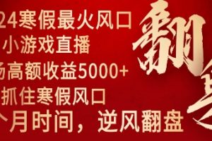 2024年最火寒假风口项目 小游戏直播 单场收益5000+抓住风口 一个月直接提车