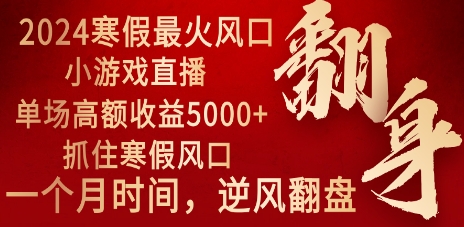 2024年最火寒假风口项目 小游戏直播 单场收益5000+抓住风口 一个月直接提车插图