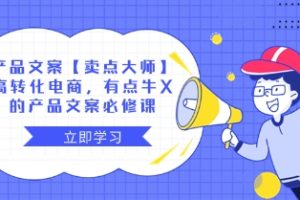 产品文案【卖点 大师】高转化电商，有点牛X的 产品文案必修课