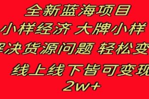 全新蓝海项目 小样经济大牌小样 线上和线下都可变现 月入2W+