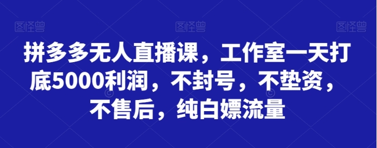 拼多多无人直播课，工作室一天打底5000利润，不封号，不垫资，不售后，纯白嫖流量插图