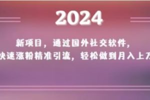 2024新项目，通过国外社交软件，快速涨粉精准引流，轻松做到月入上万【揭秘】