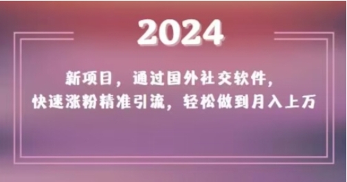 2024新项目，通过国外社交软件，快速涨粉精准引流，轻松做到月入上万【揭秘】插图