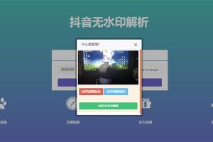 PHP抖音在线去水印抖音无水印视频解析源码