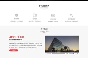 (自适应手机版)响应式玩具动漫类网站源码 HTML5机器人玩具网站织梦模板