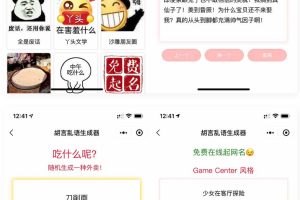 胡言乱语生成器微信小程序源码 在线取名等支持流量主收益