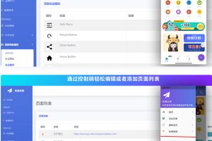 网站转换APP源代码/WebAPP源代码/网站生成APP源代码/Flutter项目/带控制端