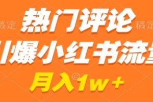 热门评论引爆小红书流量，作品制作简单，广告接到手软，月入过万不是梦