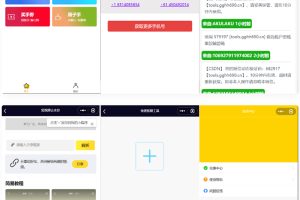 全球手机验证码发放+短视频去水印等组合微信小程序源码