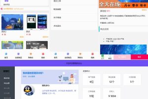 全新UI简洁H5商城网站源码/带易支付接口