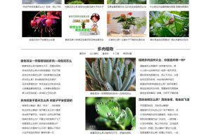 (PC+WAP)绿色花草植物网站源码 花卉养殖新闻资讯类pbootcms模板