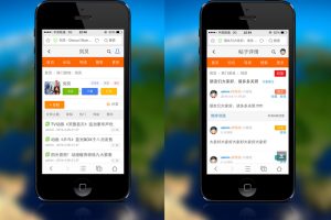 discuz模板：Ds设计 – 手机模板 商业版