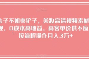 淘金子不如卖铲子，美妆高清视频素材暴利变现，0成本高收益，高客单价供不应求，按流程操作月入3万+【揭秘】