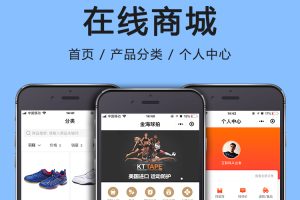 CRMEB-DT V2.6.03 最新版打通版程序下载(无加密) 后期更新免费下载