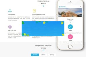 织梦dedecms响应式试管婴儿医疗机构网站模板(自适应手机移动端)