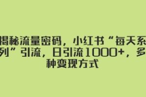 揭秘流量密码，小红书“每天系列”引流，日引流1000+，多种变现方式