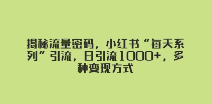 揭秘流量密码，小红书“每天系列”引流，日引流1000+，多种变现方式插图