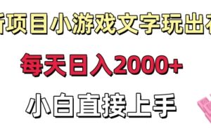 新项目小游戏文字玩出花日入2000+，每天只需一小时，小白直接上手【揭秘】