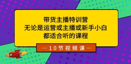 带货主播特训营：无论是运营或主播或新手小白，都适合听的课程插图