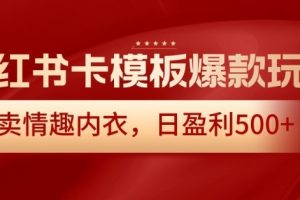 小红书卡模板爆款玩法，售卖情趣内衣，日盈利500+【揭秘】