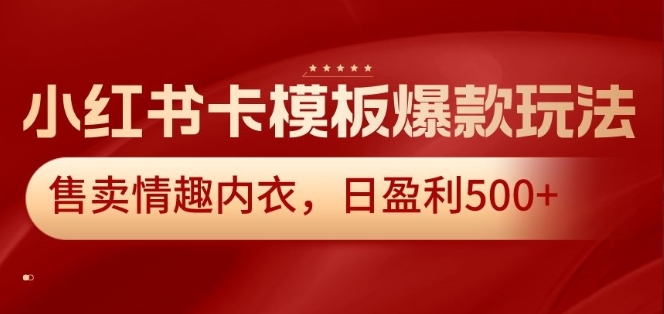 小红书卡模板爆款玩法，售卖情趣内衣，日盈利500+【揭秘】插图