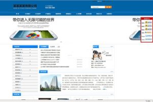 网新中英繁CMS v13.6