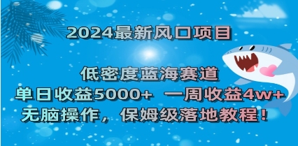 2024最新风口项目 低密度蓝海赛道，日收益5000+周收益4w+ 无脑操作，保…插图