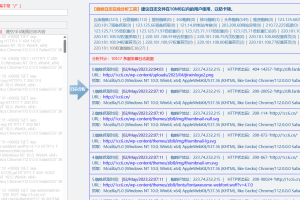 蜘蛛日志在线分析工具源码 快速分析搜索引擎网络爬虫抓取记录