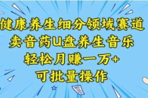 健康养生细分领域赛道，卖音药U盘养生音乐，轻松月赚一万+，可批量操作