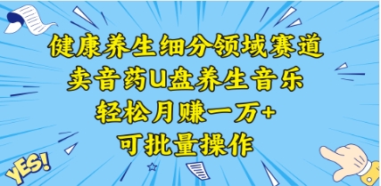 健康养生细分领域赛道，卖音药U盘养生音乐，轻松月赚一万+，可批量操作插图