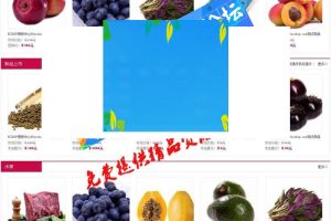 ECSHOP沱沱工社瓜果蔬菜商城模板utf+gbk+团购+WAP版+微信商城