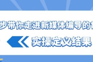 一步带你走进 新媒体编导的世界，实操定义结果（17节课）