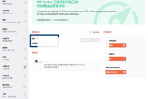 WP Rocket 3.10.1 已授权WordPress缓存加速插件