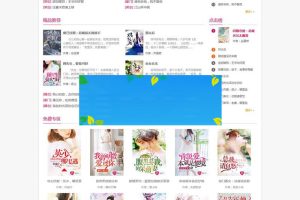 杰奇2.2专业版内核《若夏文学网》女生版小说网站源码电脑端+WAP手机端+在线充值+关关采集器