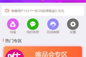 京东淘宝唯品会拼多多自动抢单系统源码可封装app