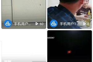 快手抖音短视频源码web+APP架设教程+完整数据完美运行-ss