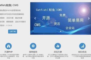 Catfish(鲶鱼)CMSv4.8.69