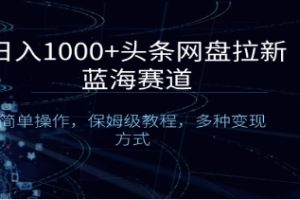 日入1000+头条网盘拉新蓝海赛道，简单操作，保姆级教程，多种变现方式